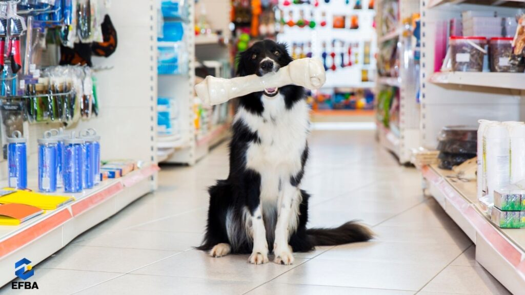 Memulai Usaha Pet Shop: Analisis Modal, Strategi, dan Keuntungan di Tahun 2026